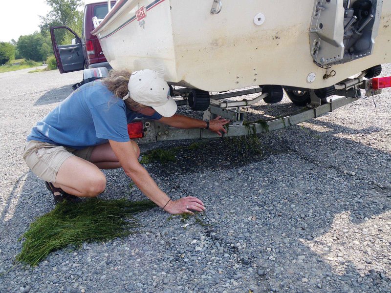 Always properly clean, drain and dry your boat to protect it — and Arkansas’ ecosystems — from 
invasive species.