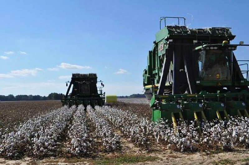 A cotton picker moves through a field in October 2014 in Craighead County. About 1 million acres of cotton were planted in Arkansas in 2000; this year’s projection is 330,000.
