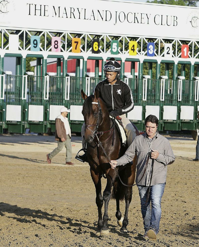 Exaggerator with exercise rider Peedy Landry aboard and trainer Keith Desormeaux move toward the track for a workout, at Pimlico Race Course, Friday, May 20, 2016, in Baltimore.  