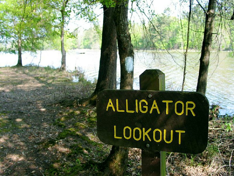 The Wildlife Trail at Millwood State Park has been known to have a bit 
more wildlife than other hiking trails around the Natural State. Park 
rangers say the best months for 'gator spotting are June, July and 
August.

