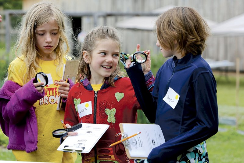 Haven Kvello, Laura Micek and Sophie Moody, fourth grade students at Butterfield Trail Elementary School in Fayetteville, look for the embryo of a bean seed at Apple Seeds Teaching Farm in Fayetteville. The students were on a field trip and visited stations, filling out a farm lab workbook. The Apple Seeds Teaching Farm’s second annual benefit, Summer Picnic at the Farm, on June 11 will help support its school and other programs.