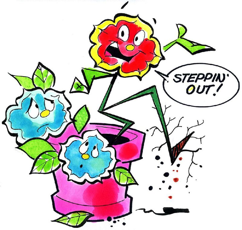 Arkansas Democrat-Gazette Flower Illustration