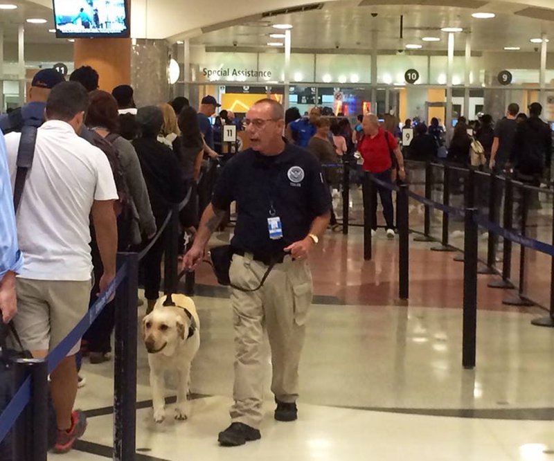 A canine team checks travelers in line at the main security gate Friday at Hartsfield-Jackson Atlanta International Airport. 