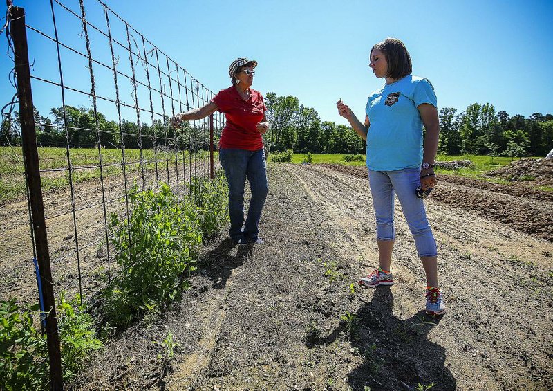 Sandy Martin (left) encourages Kristi Taylor of Rosston to try a snow pea on Martin’s farm near Patmos in Hempstead County. 