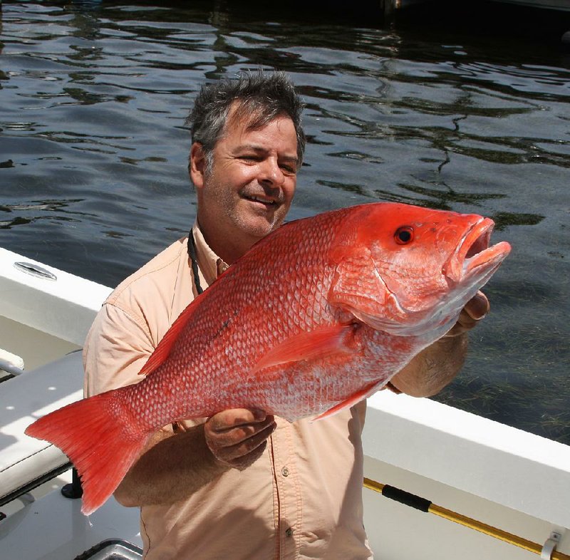 The author checks out a red snapper he caught recently at Panama City, Fla., while fishing with Capt. Justin Leake. Video can be found at arkansasonline.com/videos 