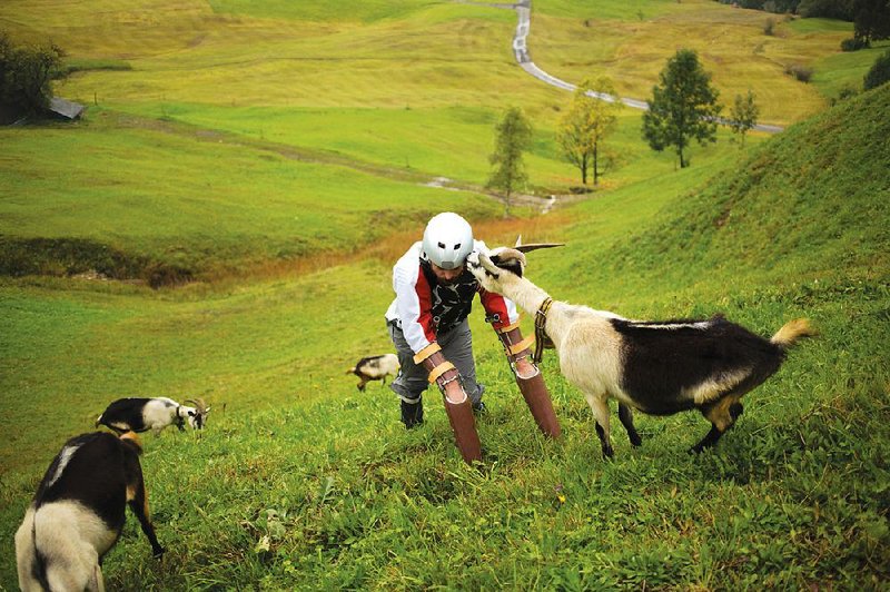 British researcher Thomas Thwaites bonds with his adoptive herd during his six days living as a goat in the Swiss Alps. 