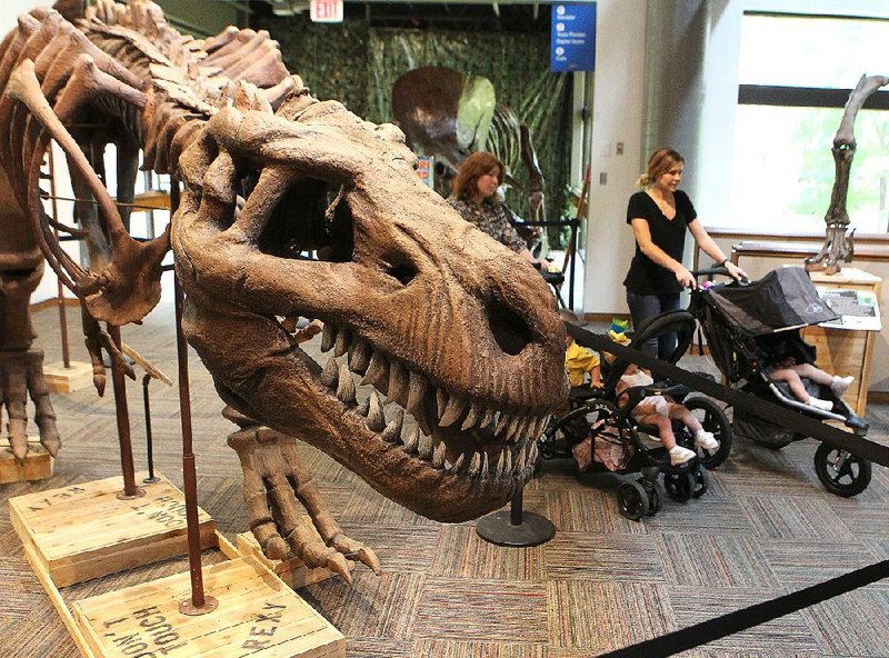 Visitors at the Mid-America Science Museum in Hot Springs stroll past a replica of a Tyrannosaurus rex skeletonlast week. The replica is part of the museum’s “Dinosaurs Revealed” exhibit.