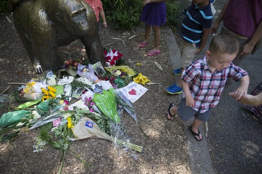 A boy is led away after putting flowers beside a statue of a gorilla outside the shuttered Gorilla World exhibit at the Cincinnati Zoo & Botanical Garden on Monday, May 30, 2016, in Cincinnati.