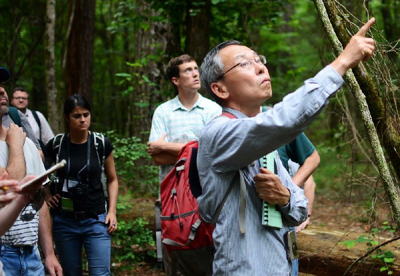 Hiromi Mizunaga, a forestry scientist from Shizuoka University in Japan, points to an opening amid the trees Wednesday during a tour of the U.S. Forest Service’s experimental forest in Crossett.