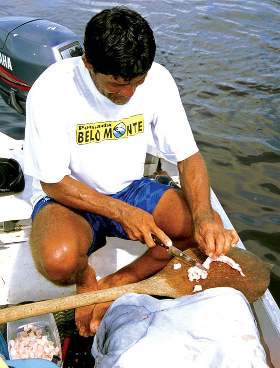 Manasses Aranha, a fishing guide in Brazil, prepares fresh ceviche from the fillets of a silver croaker soaked in lime juice and soy sauce.