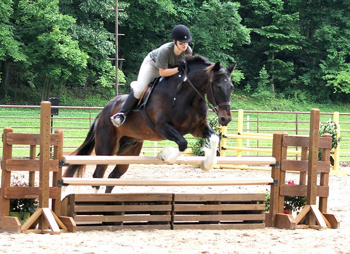 Submitted Photo Kyla Wilhoit, riding Dockta Jones, jumps a fence during the jumper class of the Legends Equestrian Center&#8217;s NWAHJA hunter-jumper show June 4 in Decatur.