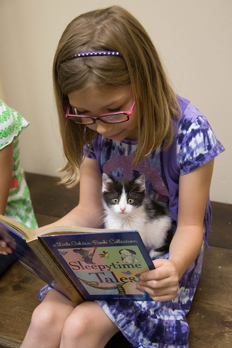 Summer Hill-Stickney, 8, reads to a kitten during Arkansas Readers for Furry Friends at the Cabot Animal Shelter.