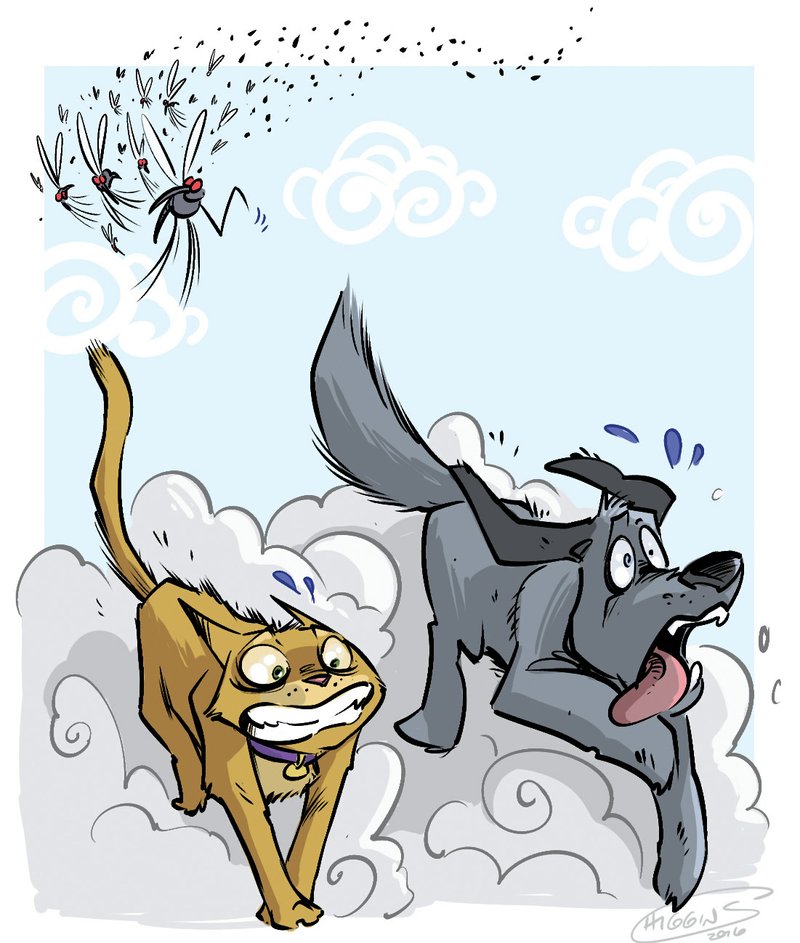 Arkansas Democrat-Gazette pets and mosquitoes illustration.