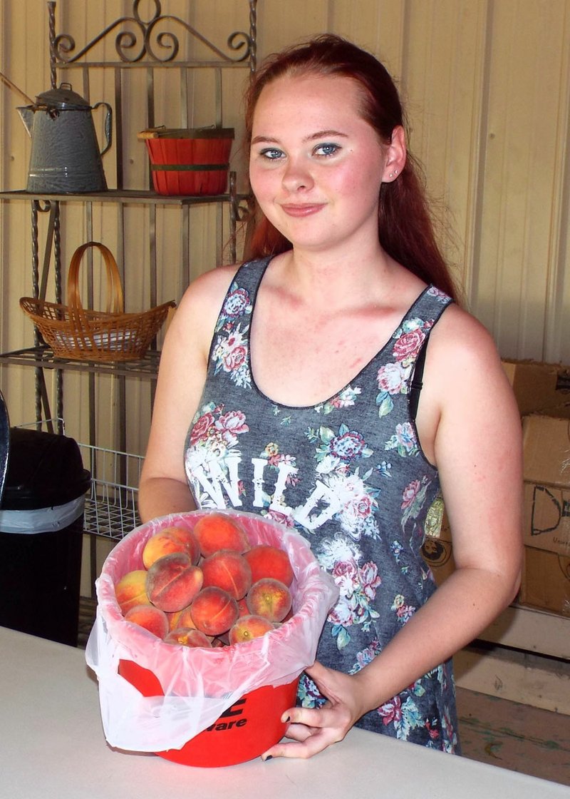 Photo by Randy Moll Carol Williams was working at the fruit stand at Taylor&#8217;s Orchard in Gentry on June 14. She shows a bucket of early peaches.