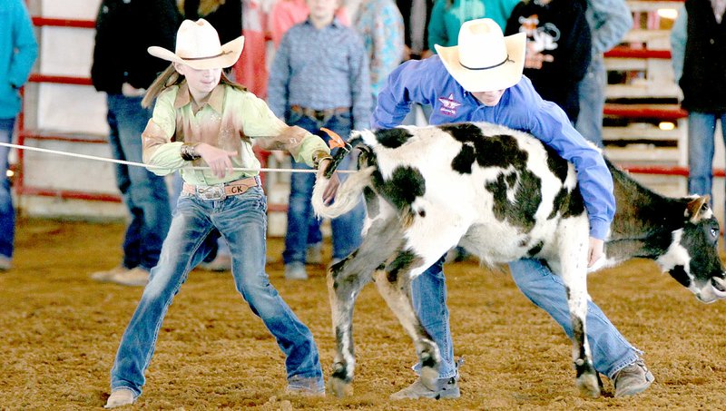 Courtney Keaton races to retrieve the ribbon from the calf&#8217;s tail while her partner holds it steady.