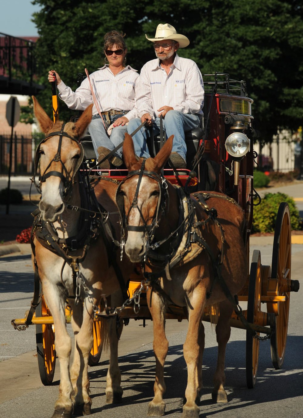 Wagon masters deliver guests on Springdale's rodeo's stagecoach