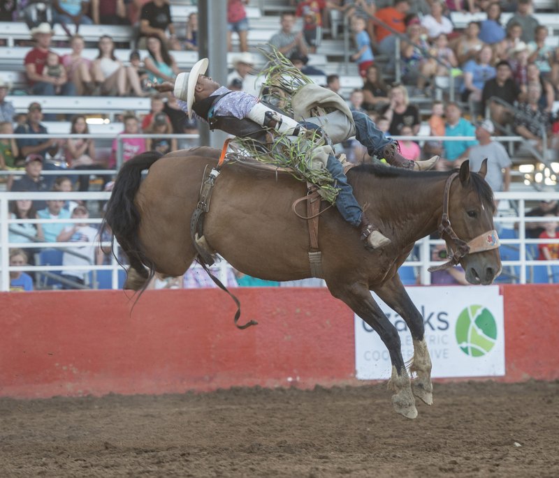 Anthony Thomas of Kimberly, Australia, rides PTSD Power Play during the bareback competition Wednesday at the Rodeo of the Ozarks at Parsons Stadium in Springdale. Thomas scored 82 in the event. 