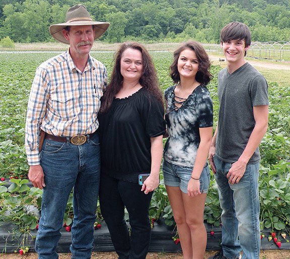 The Wade Lucas family of Shirley is the 2016 Van Buren County Farm Family of the Year. Family members include Wade Lucas, from left, Marlene Lucas, Mary Lucas and Luke Lucas. They raise strawberries and a variety of other produce.