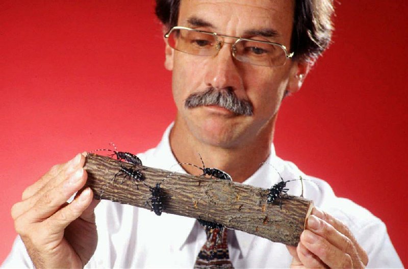 You may never actually meet him in person, but Rusty James of Rogers keeps pet longhorned beetles on a stick. Here is his picture.Fayetteville-born Otus the Head Cat’s award-winning column of humorous fabrication appears every Saturday.