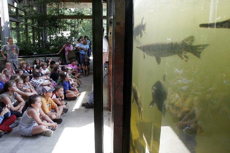 Air conditioning isn’t the only cool thing at the Governor Mike Huckabee Delta Rivers Nature Center in Pine Bluff. 