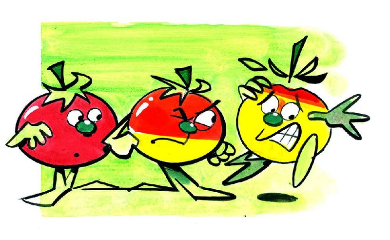 Arkansas Democrat-Gazette Tomato illustration 