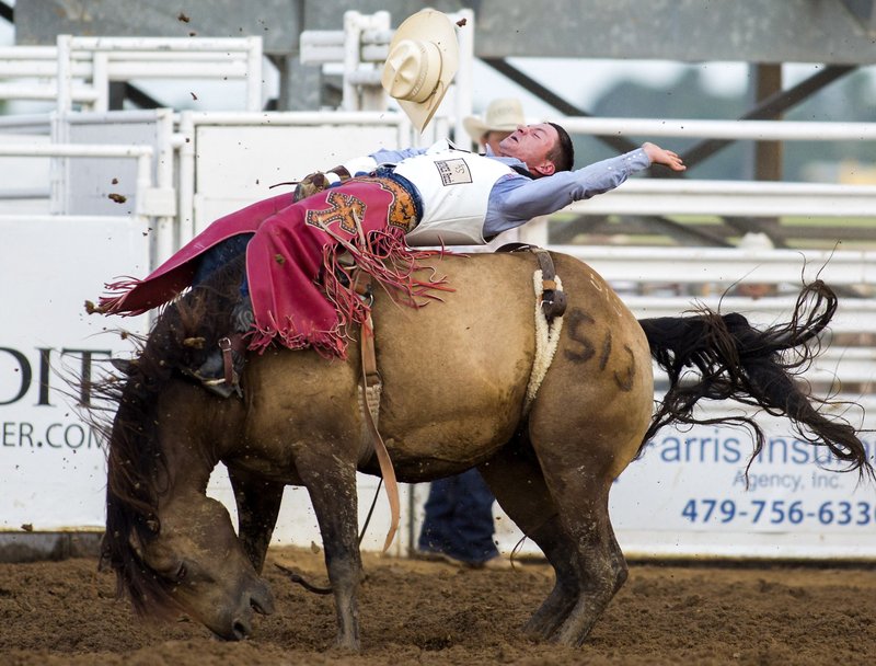 Bill Tutor of Huntsville, Texas, rides in the bareback event on Friday during the Rodeo of the Ozarks in Springdale.