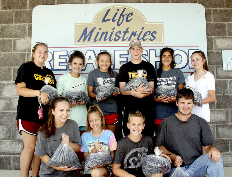 LYNN KUTTER ENTERPRISE-LEADER These teenagers volunteered a couple hours one morning last week to pick 44 gallons of blueberries to donate to Life Ministries in Prairie Grove and Grace Place in Lincoln. Pictured are (back, left) Sarah Jarvis, Jade Littlefield, Brittany Brazell, Cole Simmons, Laura Simpson, Anna Bertorello; (front, left) Katie Doering, Brenna Spradley, Cole Spradley and Coleman Jarvis.