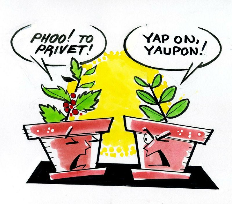 Arkansas Democrat-Gazette Plant illustration