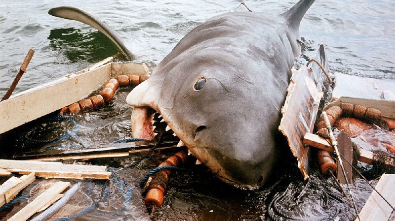Steven Spielberg’s Jaws, about a huge shark menacing a New England island community, retains its ability to terrify more than 40 years after its release. But it can also enlist our empathy for its great white monster.

