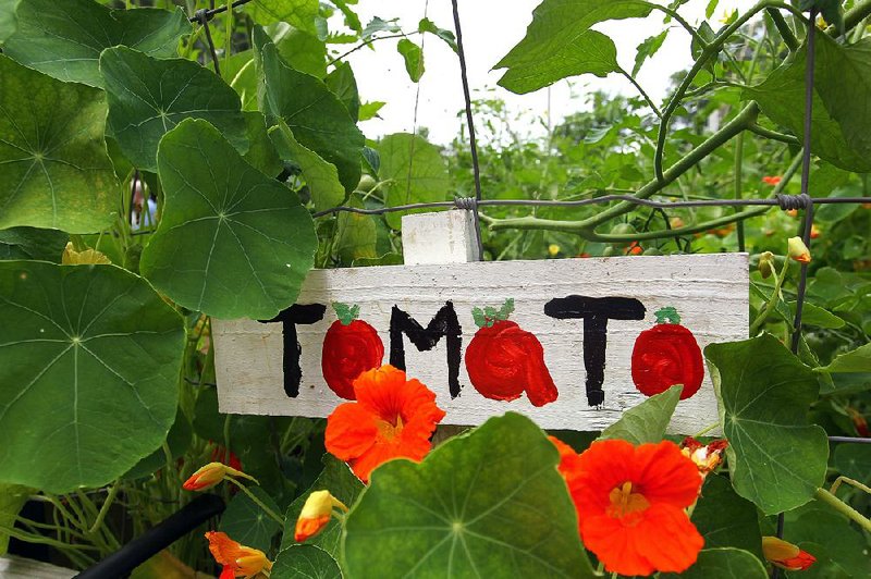 You say tomato, they say — tom(a)to? — with painted ’maters to prove it on this sign in Arkansas Children’s Hospital’s collaborative garden. The goal is to raise not just tomatoes, but awareness of the benefits of gardening.