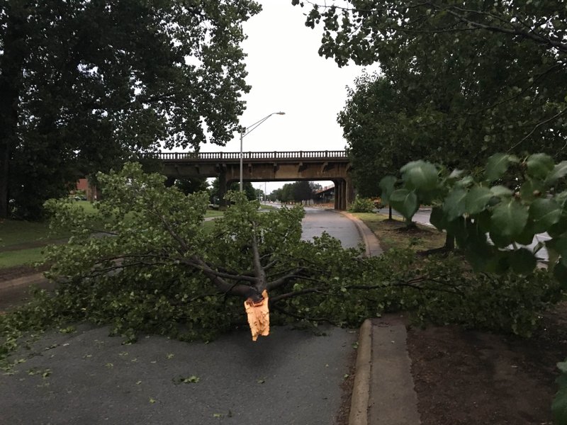 A tree blocks the road on Riverfront Drive in North Little Rock by Dickey Stephens Park after strong storms moved through the state Thursday, July 14, 2016. 