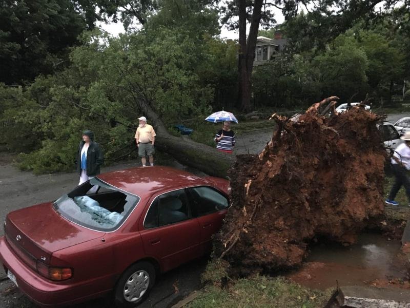 A large tree fell on a car and across Spring Street south of 17th Street in Little Rock. No injuries were reported.