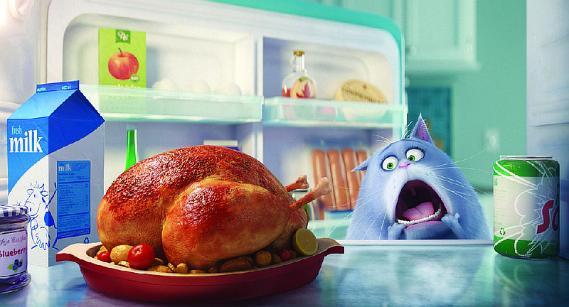 Actress Lake Bell provides the voice of Chloe, a fat cat who really loves food in Universal Pictures’ The Secret Life of Pets. It came in first at last weekend’s box office and made about $104.4 million.