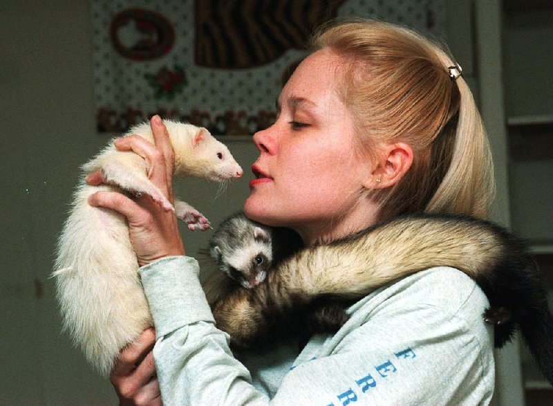 Wendy “Wild Weasel” Wojokowski whispers instructions to a brace of bomb-sniffing ferrets before another day of luggage checking at the Little Rock airport. Fayetteville-born Otus the Head Cat’s award-winning column of humorous fabrication appears every Saturday.
