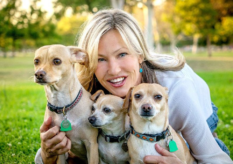 “Life is about the little things. It’s your dogs and finding someone you love and trying to be supportive of each other.” Joey Lauren Adams and chiweenies Dallas and Charlie seek a permanent home for their fostered friend, Riley (center).