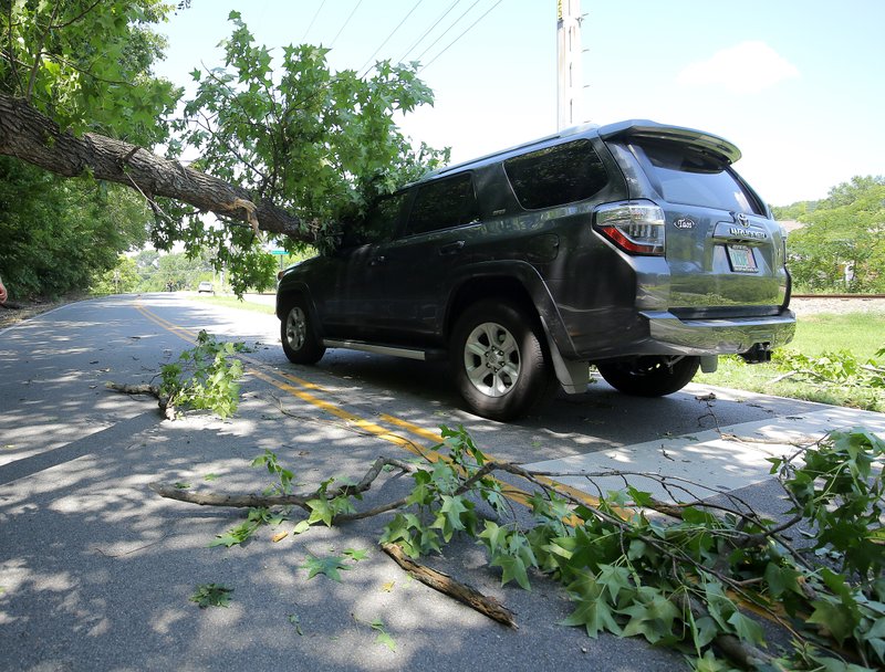 A tree rests on an SUV after it fell and injured the driver Sunday afternoon along Rebsamen Park Road near Sherrill Road in Little Rock. The driver suffered a non-life-threatening cut on his arm.