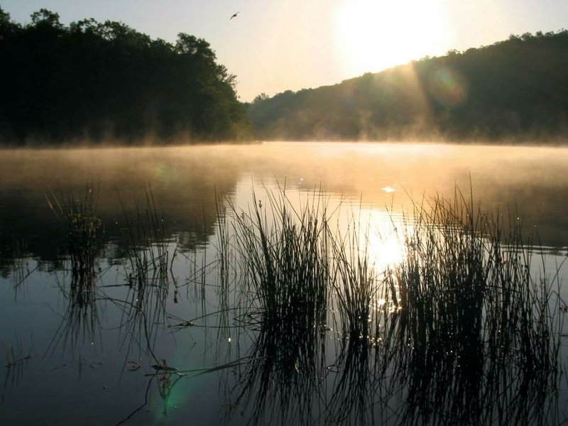 Fog rises from Lake Bennett at sunrise on a cool spring morning at Woolly Hollow State Park near Greenbrier.

