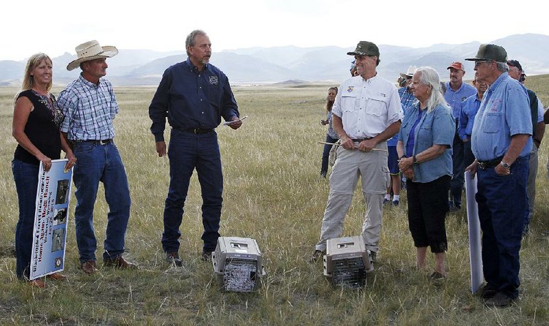 Scott Talbott (center, left), with the WyomingGame and Fish Department, and Dan Ashe (center, right), with the U.S. Fish and Wildlife Service, talk recently at the Pitchfork Ranch near Meeteetse, Wyo., about the release of 35 black-footed ferrets. 