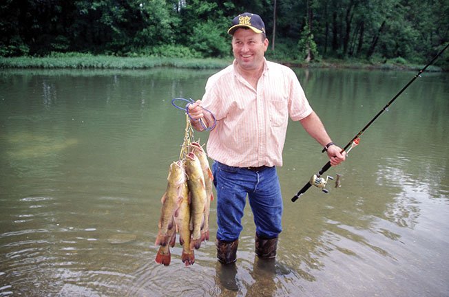 Summertime is the right time to load a stringer with a mess of catfish like this. Jimmy Abernathy of Mount Ida caught these flatheads using small sunfish for bait.