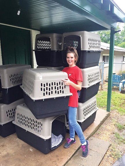 Kaitlyn Howey, an employee at the Humane Society of Saline County, prepares crates last week for the journey to Louisiana to assist in flooding relief efforts. Director Ann Sanders and volunteer Karen Waldroff came back Thursday with many dogs and cats from a shelter in Belle Chase, La. The animals are now available for adoption at the Saline County shelter in Bauxite.