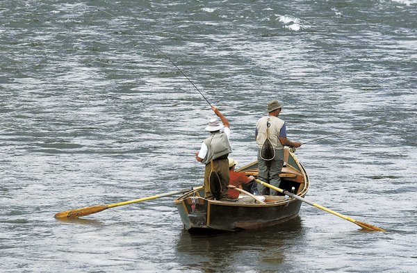 Yellowstone River closes after thousands of fish die