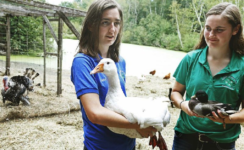 Sisters Tiana (left) and Kayla Lenzmeier of North Branch, Minn., hold the goose and call duck that will be part of their 4-H poultry entries in the Minnesota State Fair this year. 