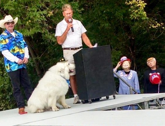 This Saturday, Aug. 20, 2016, photo provided by Karen Nelson shows Duke, a 9-year-old Great Pyrenees, that won a third one-year term as honorary mayor of Cormorant Township, Minn. The big, shaggy white dog was overwhelmingly re-elected at the sixth annual Cormorant Daze Festival. (Deb Rick via AP)
