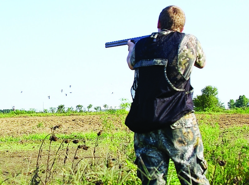 Zach Sutton of Alexander aims at a single dove in a passing flock. It’s important for hunters to wait until birds are well within range before shooting.