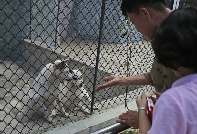 Visitors to the Central Zoo in Pyongyang, North Korea feed the dogs on display across from the hippopotamus pen and the reptile house.