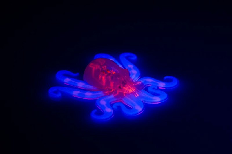 The soft, fluid-powered little Octobot has ambitions of one day being a rescue robot, although it doesn’t move much yet, Harvard University inventors say.