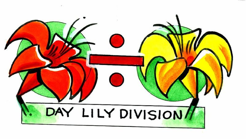 Arkansas Democrat-Gazette Day Lily illustration 