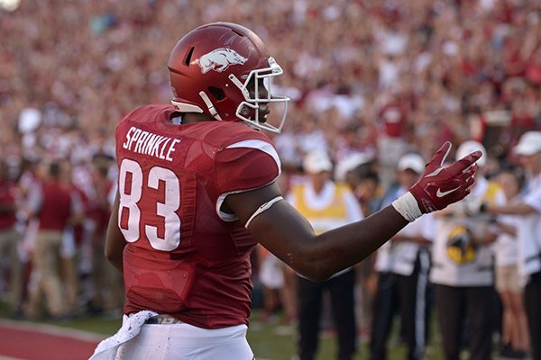 Arkansas tight end Jeremy Sprinkle celebrates after scoring a touchdown during the fourth quarter of a game against Louisiana Tech on Saturday, Sept. 3, 2016, in Fayetteville. 