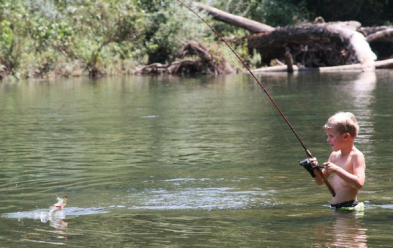 Henry Hamm of Princeton, N.J., catches his fi rst smallmouth bass Aug. 27 while wade fishing in the Caddo River.