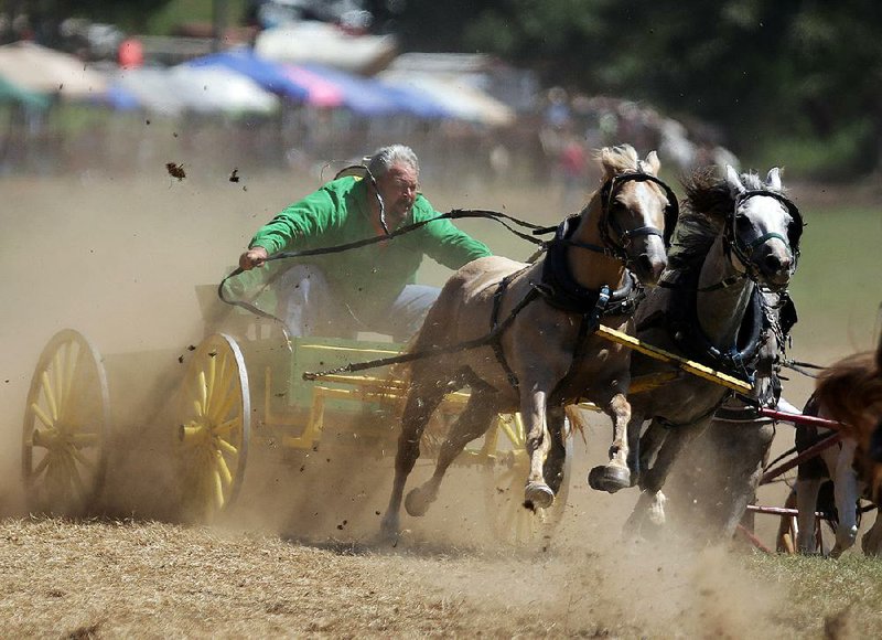 Team Rockin’ Rhino of Marshall competes in the buckboard category Saturday afternoon during the National Championship Chuckwagon Races in Clinton. More photos are available at arkansasonline.com/galleries. 